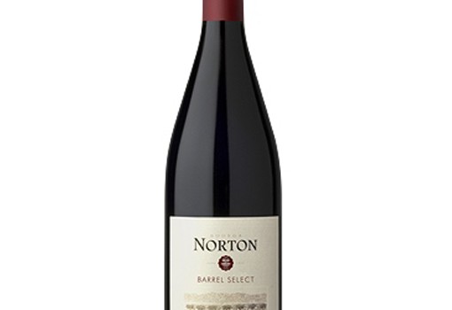 capa-vinho-argentino-norton-barrel-select-pinot-noir-vinhobr.com.br